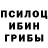 Галлюциногенные грибы Psilocybe DARKSUN TV
